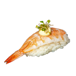 Nigiri Prawn