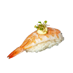 Nigiri Prawn
